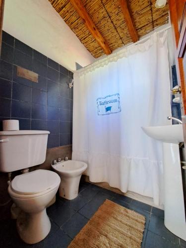 łazienka z toaletą i zasłoną prysznicową w obiekcie Casa en Tilcara con hermosa galería w mieście Tilcara