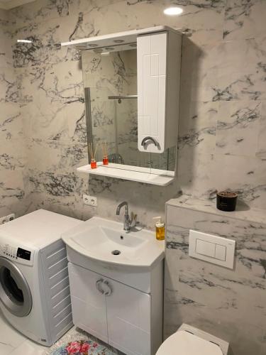 een badkamer met een wastafel, een toilet en een spiegel bij MURIC Apartman 2 in Ljubljana