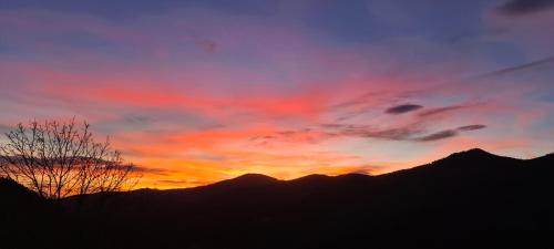 a sunset over the mountains with a tree in the foreground at La Bulle d'Ardèche in La Chanal