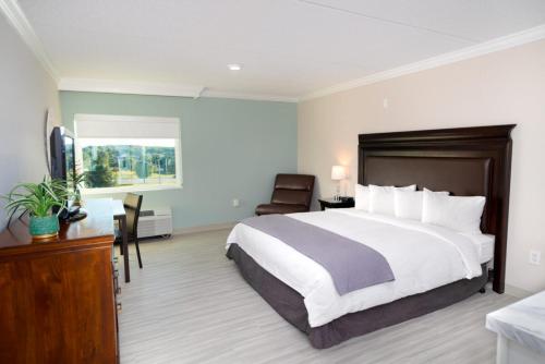 une chambre d'hôtel avec un grand lit et une télévision dans l'établissement Bella Vista Hotel & Suites, à Lynchburg