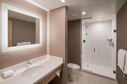 a bathroom with a sink and a toilet and a mirror at Residence Inn by Marriott Greenville Downtown in Greenville