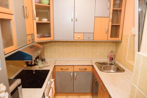 eine kleine Küche mit einer Spüle und einem Herd in der Unterkunft Vidak Apartman in Subotica