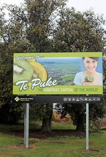 a billboard sign in a park with a woman at Guest House in Tepuke in Te Puke