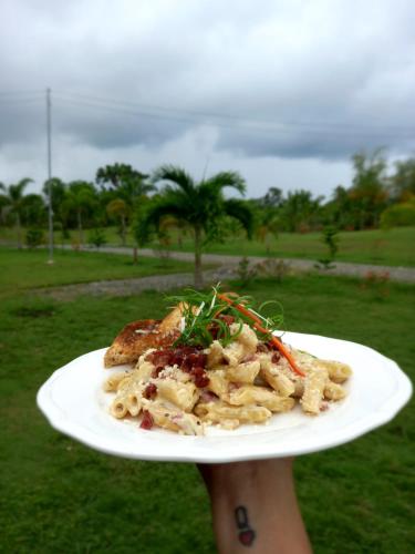 a person holding a plate of pasta with meat and vegetables at Green Acres Village in Moalboal