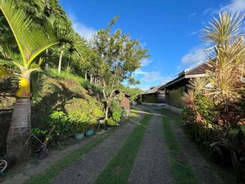 a driveway with palm trees and a house at Tehuarupe Surf Studio 2 in Haapiti