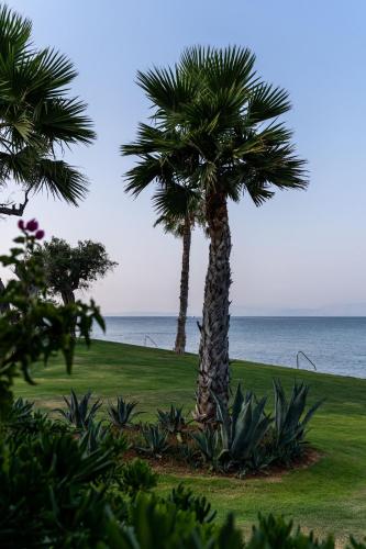 two palm trees on a lawn near the ocean at Domes Miramare, a Luxury Collection Resort, Corfu - Adults Only in Moraitika