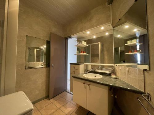 łazienka z umywalką i toaletą w obiekcie Saint-Cyprien : T2 cabine, climatisé, 6 pers, animaux admis, parking sécurisé - FR-1-106-78 w mieście Saint-Cyprien