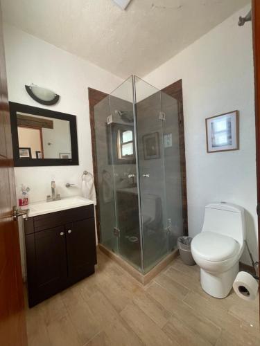 y baño con ducha, aseo y lavamanos. en Casa Angeles Centro de Tequisquiapan para 6 personas en Tequisquiapan