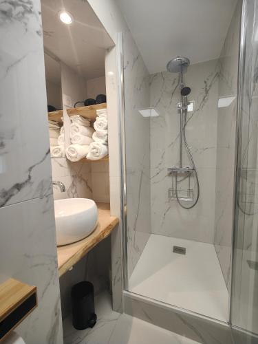une salle de bain avec douche et lavabo dans l'établissement Studio rue Fesch, à Ajaccio