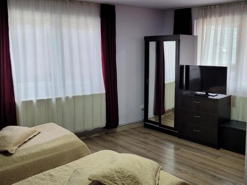 1 Schlafzimmer mit 2 Betten und einem Flachbild-TV in der Unterkunft Casa Krista in Bran