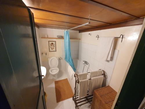 a small bathroom with a toilet and a shower at Appartamenti Gardenia in Rome