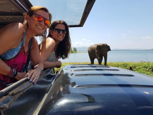 two women in a vehicle with an elephant in the background at Aliya Riverside & Safari Resort in Udawalawe