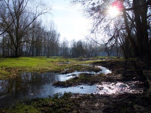 Paisaje cerca de este apartamento