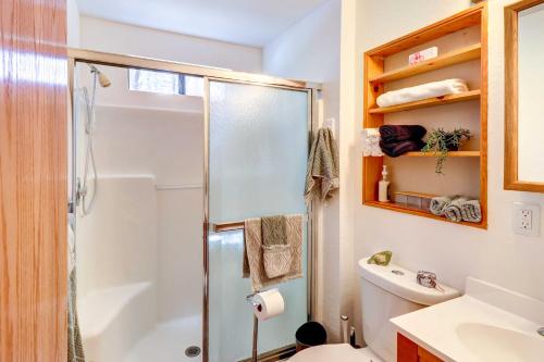 a bathroom with a shower and a toilet at Near Hiking Cabin with Hot Tub in Lakeside! in Lake of the Woods