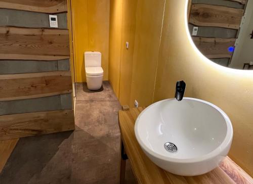 a bathroom with a sink and a toilet at Hôtel En Tilleul in Pont-du-Navoy