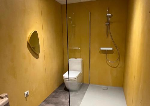 a bathroom with a toilet and a shower at Hôtel En Tilleul in Pont-du-Navoy