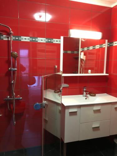 La salle de bains est pourvue de murs rouges, d'une douche et d'un lavabo. dans l'établissement Domaine de l'île - Gîtes et chambres d'hôtes, à Castelsarrasin