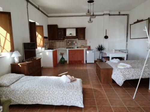 sala de estar con 2 camas y cocina en Casale del Tempo Lento, en Narni