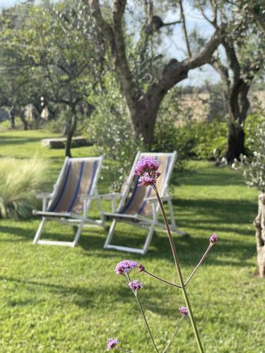 two chairs and flowers in a yard with trees at Masseria Spartivento in Conca Specchiulla