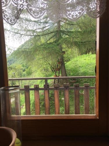 uma janela com vista para uma árvore em CASA VACANZE CRISSOLO em Crissolo