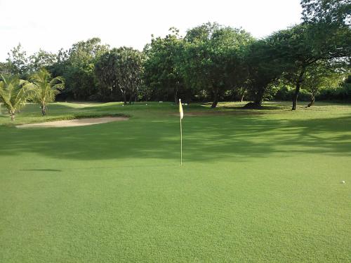 a putting green with a flag in the middle of it at Lions' Luxury Eco Resort & Spa in Malindi