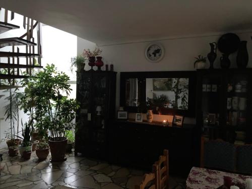a living room with potted plants and a mirror at Apartman-Donau Tát in Tát