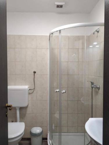 uma casa de banho com um chuveiro, um WC e um lavatório. em Régi Csárda és Panzió em Magyarszerdahely
