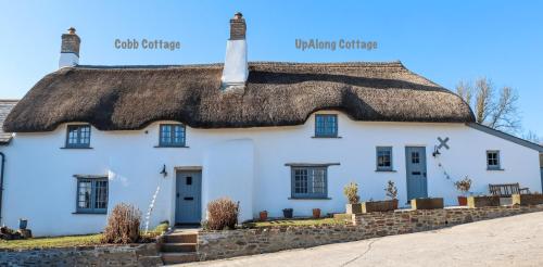 a thatched cottage with a thatched roof at Cobb Cottage - HiddenDevon in Winkleigh