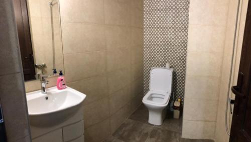 La salle de bains est pourvue d'un lavabo et de toilettes. dans l'établissement Cozy Studio in the Center of Kutaisi, à Koutaïssi