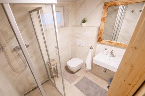 a bathroom with a shower and a toilet and a sink at Penzion - Vinařství Hanuš in Blučina