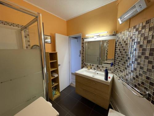łazienka z umywalką, prysznicem i lustrem w obiekcie Bel appartement T2 cabine avec parking, clim, proche plage et commerces, Saint-Cyprien - FR-1-106-71 w mieście Saint-Cyprien