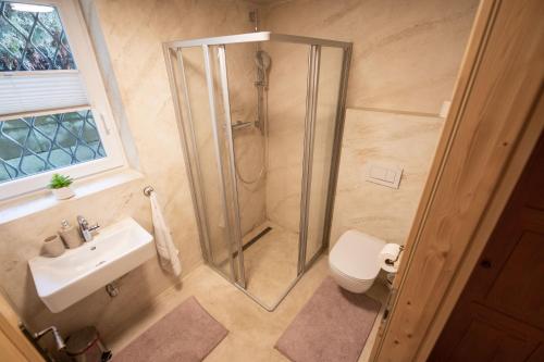 a bathroom with a shower and a toilet and a sink at Penzion - Vinařství Hanuš in Blučina