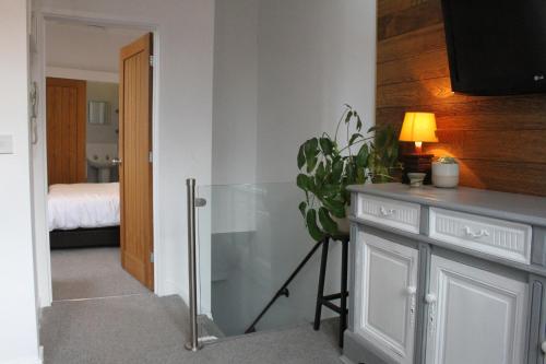 a room with a potted plant sitting on a counter at Vale View in Denbigh