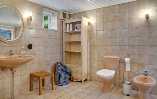 een badkamer met een toilet, een wastafel en een spiegel bij Awesome Home In ster Ulslev With Kitchen in Øster Ulslev