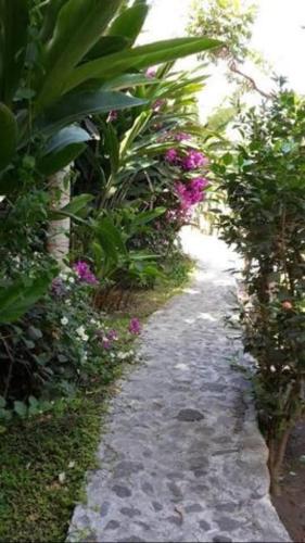 a garden path with pink flowers and plants at Cottage na Ribeira do Paúl in Pombas