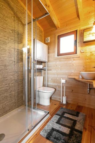 a bathroom with a shower and a toilet and a sink at Rural Cottage in Alfeizerão