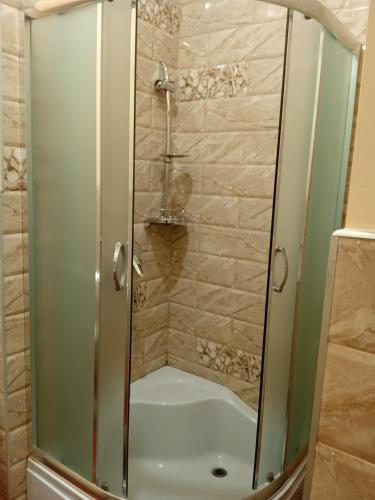 a shower with a glass door in a bathroom at ЕДЕЛЬВЕЙС in Snyatyn