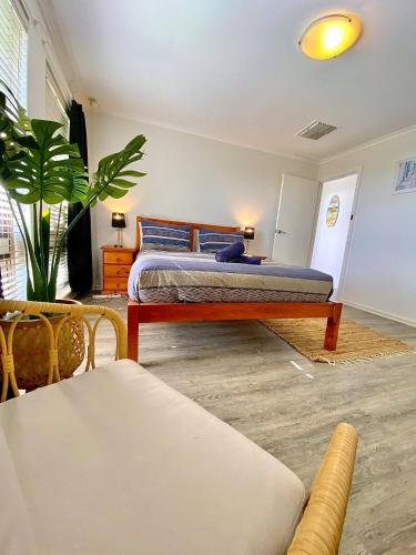 a bedroom with a bed and a plant in a room at Beach House Opposite Ocean 4 Bed 2 Bathroom with pool in Geraldton