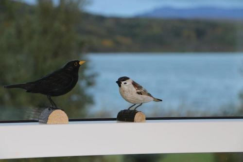two birds sitting on top of a fence at Paradise near Reykjavik w. Sauna - Northern Lights in Mosfellsbær