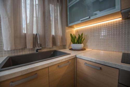 uma cozinha com um lavatório e um vaso de plantas em 4k GEM em Ierápetra