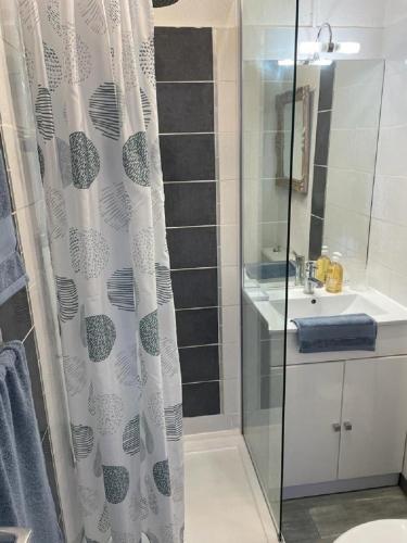 une salle de bain avec un rideau de douche et un lavabo dans l'établissement Entre ST-RAPHAEL et ST-TROPEZ. Studio pieds dans l'eau, à partir de 600 Euros/semaine., à Saint-Aygulf