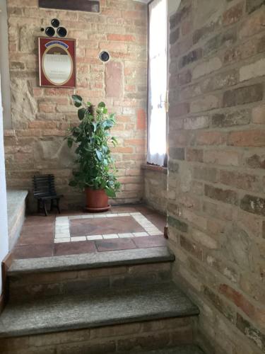 ceglany korytarz z doniczkową rośliną i oknem w obiekcie Holiday House Antica Dimora Soggiorni in langa centro storico La Morra w mieście La Morra