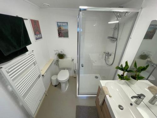 y baño con ducha, aseo y lavamanos. en Omheind prive 2 bedroom chalet VOORTHUIZEN VELUWE, en Voorthuizen