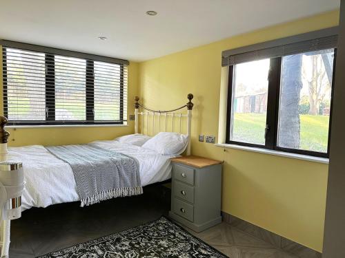 a bedroom with a bed and two windows at Forest Apartment gated Parking on 2 acres Garden in Chislehurst