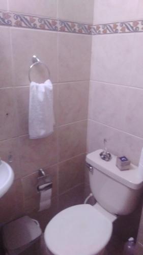 a bathroom with a white toilet and a sink at Rincon de ensueño in Santa Cruz de la Sierra