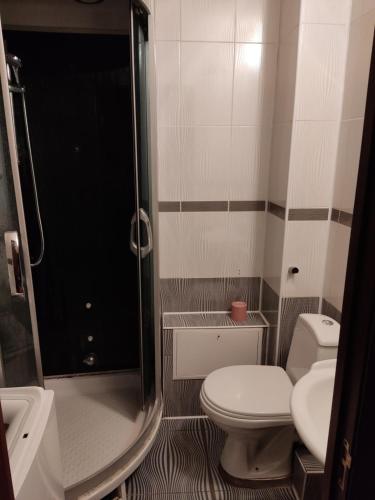 a small bathroom with a toilet and a shower at Комфортная квартира!!! in Tiraspol