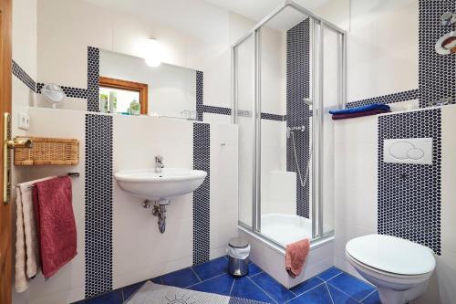 ein Bad mit einem WC, einem Waschbecken und einer Dusche in der Unterkunft Zum Grünen Tor - ganzheitliche Pension in Görlitz