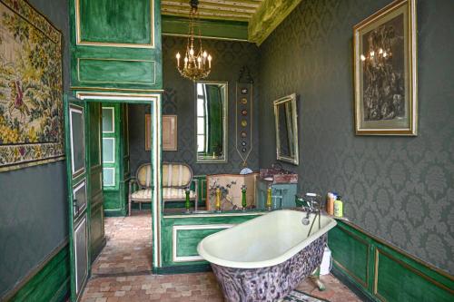 a bathroom with a bath tub in a room at Château du Boschet chambre de la marquise in Bourg-des-Comptes