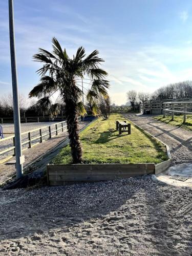 un parc avec un palmier et un banc dans l'établissement Le Haras proche de Wimereux et Wissant, à Beuvrequen