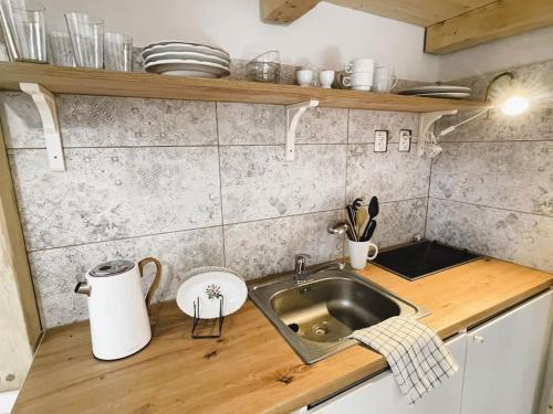 une petite cuisine avec évier et comptoir dans l'établissement Flat white flat, à Prague